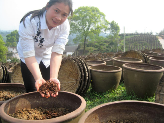 古法釀造助農(nóng)家女“黃金豆”產(chǎn)業(yè)旺.png 古法釀造助農(nóng)家女“黃金豆”產(chǎn)業(yè)旺.png