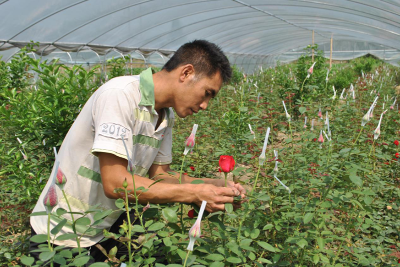 圖片3.png 圖片3.png