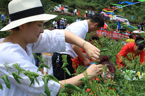 圖片1.png 圖片1.png