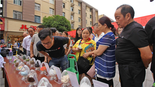 現(xiàn)場(chǎng)圖 陳加普攝_副本.jpg 現(xiàn)場(chǎng)圖 陳加普攝_副本.jpg