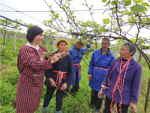 向珊在為當(dāng)?shù)毓r(nóng)講解獼猴桃種植知識(shí).jpg