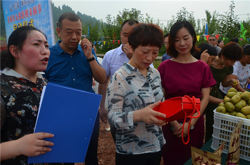 DSC_0784.jpg DSC_0784.jpg