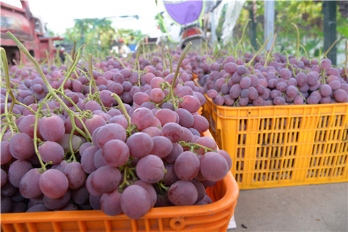 裝箱.jpg 裝箱.jpg