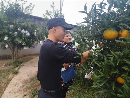 詢問(wèn)果農(nóng)果樹(shù)生長(zhǎng)情況.jpg 詢問(wèn)果農(nóng)果樹(shù)生長(zhǎng)情況.jpg