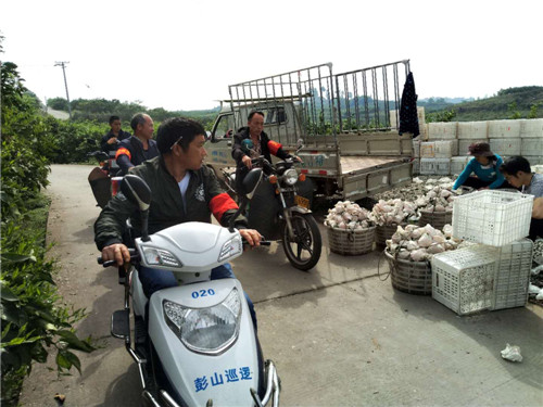 日常巡邏.jpg 日常巡邏.jpg