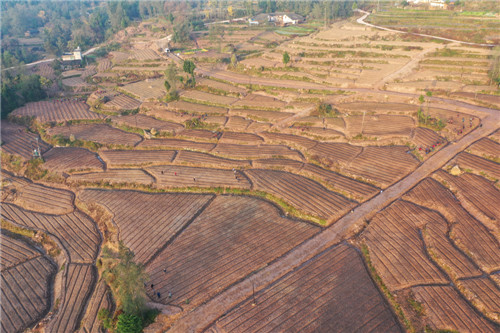 圖片1.jpg 圖片1.jpg