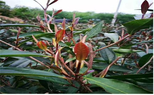 圖片5.jpg 圖片5.jpg