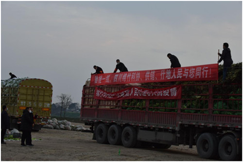 QQ圖片20200210134603.jpg