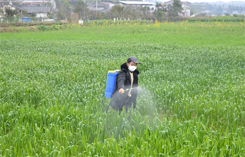 3_副本.jpg 3_副本.jpg