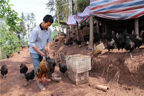 準(zhǔn)備外送.jpg 準(zhǔn)備外送.jpg