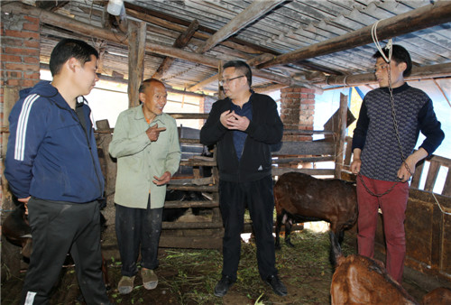 瀘州市納溪區(qū)農(nóng)業(yè)農(nóng)村局畜牧專家胡南到納溪區(qū)龍車鎮(zhèn)大堰村脫貧戶楊學(xué)澄家里，幫助他制訂黑山羊養(yǎng)殖發(fā)展規(guī)劃 王超明攝.jpg