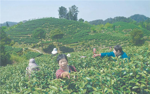 2326244811828039_副本.jpg 2326244811828039_副本.jpg