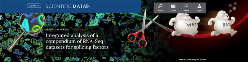 剪接因子.jpg 剪接因子.jpg