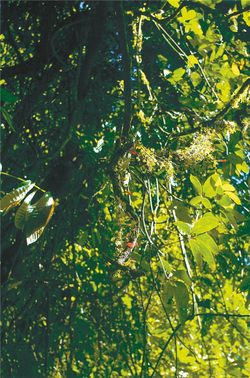 1808678184482595_副本.jpg 1808678184482595_副本.jpg