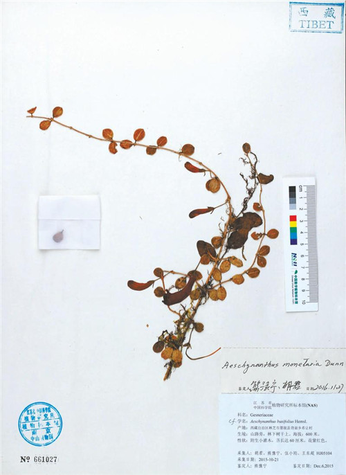 1808687052518267_副本.jpg 1808687052518267_副本.jpg