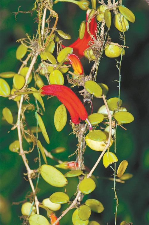 1808690885194696_副本.jpg 1808690885194696_副本.jpg