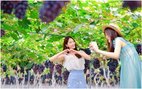 QQ圖片20200704164939.jpg QQ圖片20200704164939.jpg