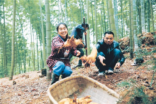 2588442866898935_副本.jpg 2588442866898935_副本.jpg