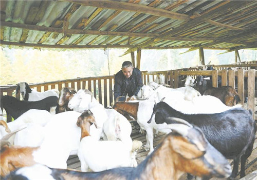 3196482924599565_副本.jpg 3196482924599565_副本.jpg