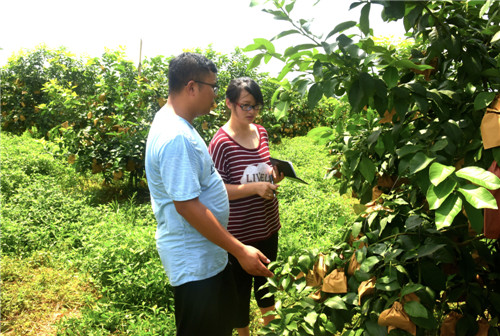 DSC_4024.jpg DSC_4024.jpg