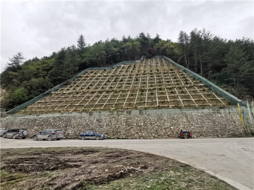 圖片5.jpg 圖片5.jpg