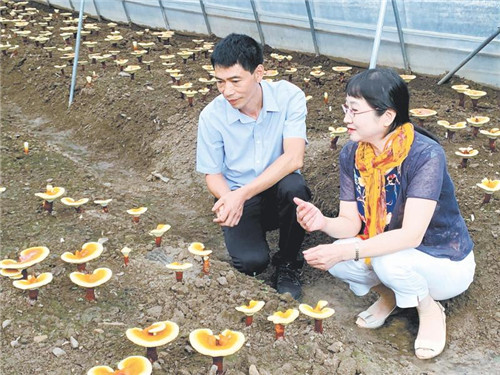 5011829812151195_副本.jpg 5011829812151195_副本.jpg