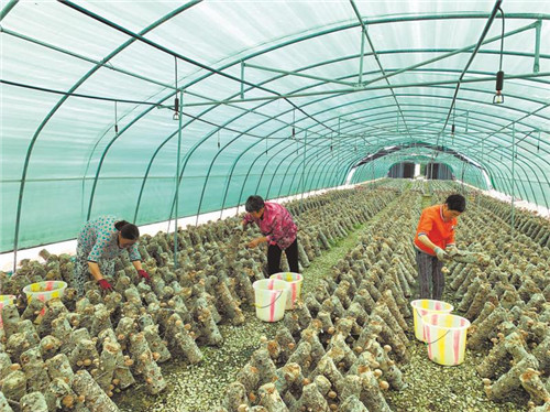 5011828106507392_副本.jpg 5011828106507392_副本.jpg