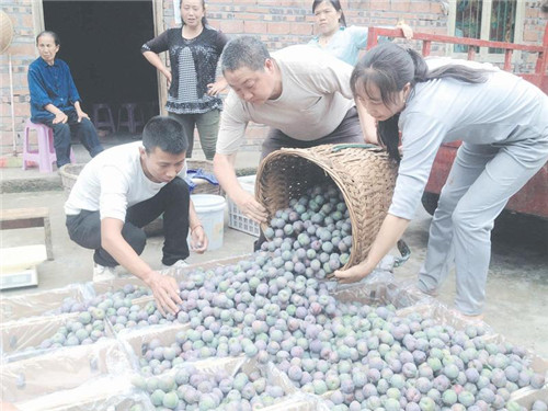 5012437360427932_副本.jpg 5012437360427932_副本.jpg