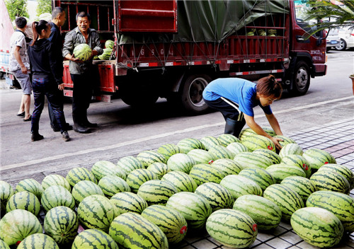龍門(mén)峽南煤礦：萬(wàn)斤西瓜送清涼.jpg
