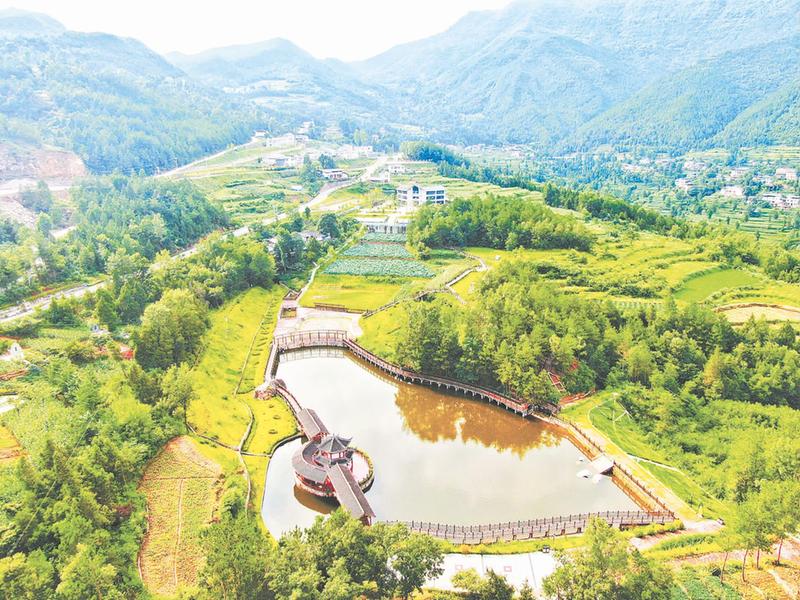 361383101138482.jpg 361383101138482.jpg