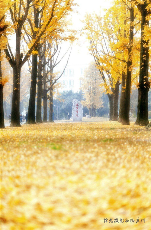 12c398b2bb578d012d02b3875db8d34_副本.jpg 12c398b2bb578d012d02b3875db8d34_副本.jpg